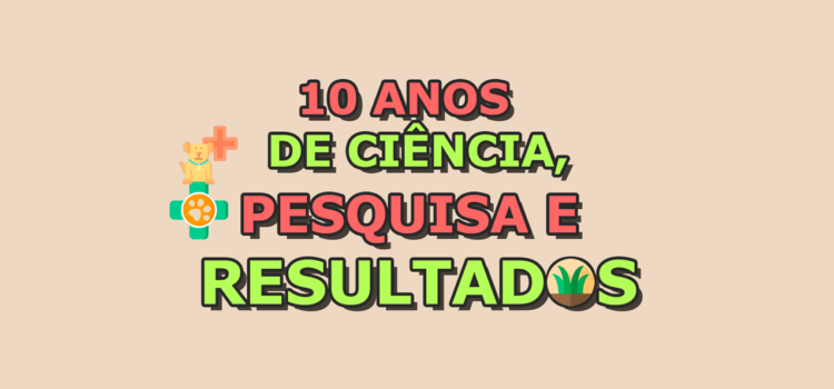10 anos e um novo portal
