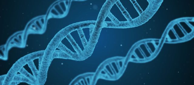Animais geneticamente modificados: o que tem a dizer o prof. Dr. Carlos Buxadé (UPM – Espanha)?