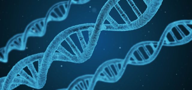 Animais geneticamente modificados: o que tem a dizer o prof. Dr. Carlos Buxadé (UPM – Espanha)?